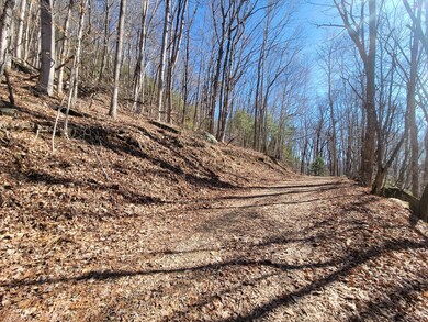 00 Forest Dr, Franklin, NC 28734 - photo 4