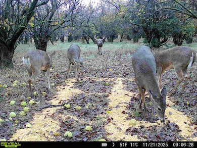 1 Co Rd, Larned, KS 67550 - photo 2