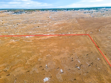 MODIFIED-2024-12-02-DJI_0486