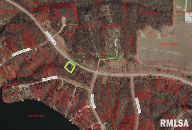 7311 Oak Run Dr, Dahinda, IL 61428 - photo 2