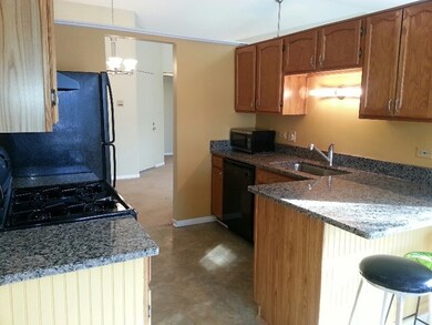 1514 Commodore Ln unit 2, Schaumburg, IL 60193 - photo 4