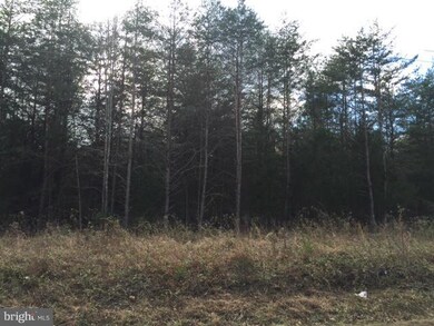 0 Lawyers Rd unit 1000823823, Spotsylvania, VA 22553 - photo 2