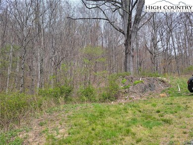 TBD Tract #7, Banner Elk, NC 28604 - photo 5