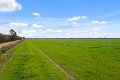 4 Gro Racca Rd, Iowa, LA 70647 - photo 5