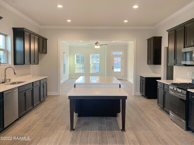 BI160 Kitchen