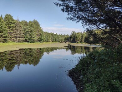 IMG_20210628_165802927_HDR