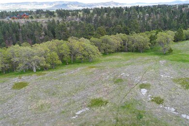 Lot 10 Block 1 Cedar Berry Dr, Spearfish, SD 57783 - photo 7
