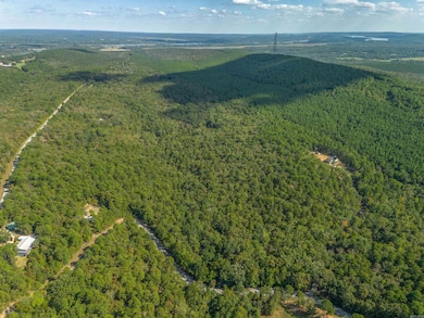 000 Dwight Little Rd, Roland, AR 72135 - photo 5