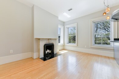 41 Worcester St unit 3, Boston, MA 02118 - photo 5