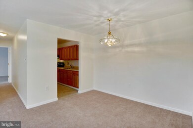 5215 Newton St unit 301, Bladensburg, MD 20710 - photo 4
