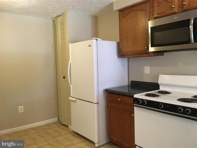 1037 Staghorn Ave, Frederick, MD 21703 - photo 3