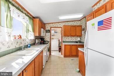 160 Mole Hill Ln, New Market, VA 22844 - photo 6