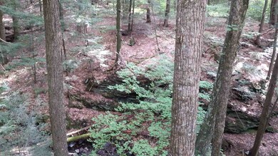 0 Breakneck Hill Rd, Charlestown, NH 03603 - photo 3