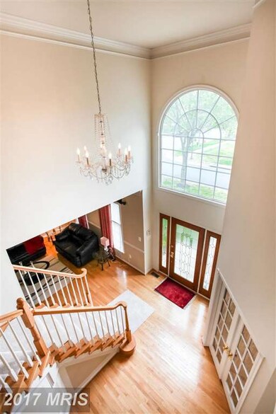 42667 Leaflet Ln, Chantilly, VA 20152 - photo 5