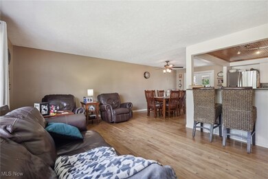 29314 Laurel Ln, Wickliffe, OH 44092 - photo 6