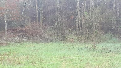 0 Sumler Rd, Castalia, NC 27816 - photo 3