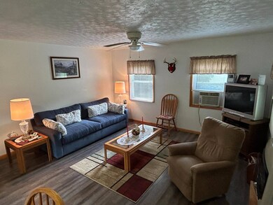 674 Laurel Fork Rd, Webster Springs, WV 26288 - photo 4