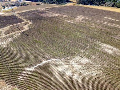 0 Brighton Rd, Abraham Baldwin College, GA 31794 - photo 6