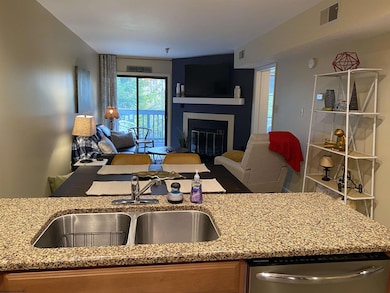 31 Ash Lodge Ct, Davis, WV 26260 - photo 7