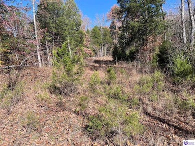 0 Mount Zion Rd unit HK25004890, Bowling Green, KY 42101 - photo 4