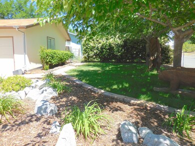 Front yard, view 2