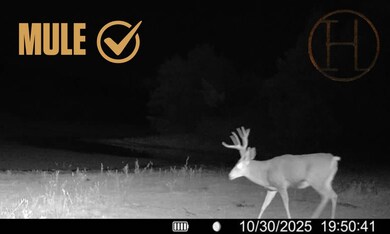 TBD Brady Moorefield Rd, Brady, NE 69123 - photo 4