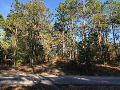 8965 SW 212th Ct, Dunnellon, FL 34431 - photo 2