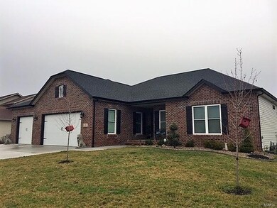 312 Sleeping Indian Dr, Freeburg, IL 62243 - photo 3