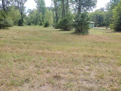 000 Frances Cove Rd, Mountain View, AR 72560 - photo 3