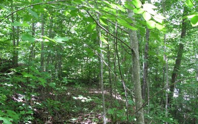 Additional View