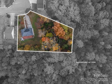 Approximate lot lines 