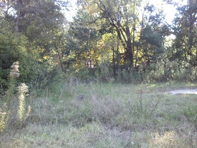 0000 Wycoff Ave, Jacksonville, FL 32205 - photo 4