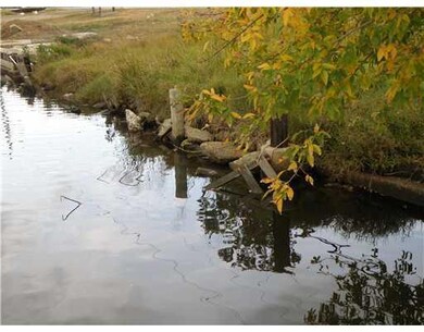 Photo. water line from off shore