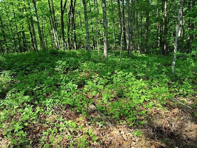 Aerial View of Hemlock Ridge