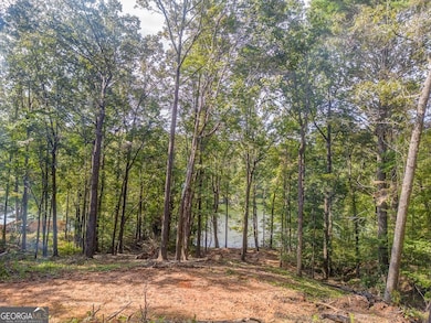 474 White Pine Cir, Demorest, GA 30535 - photo 6