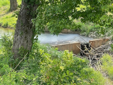 00 Main St, Mantee, MS 39751 - photo 5