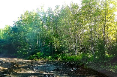 IMG_6504