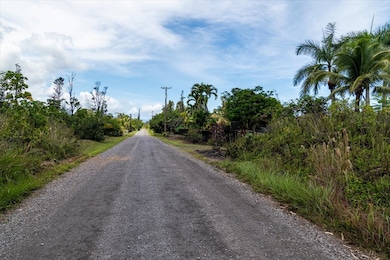 0 2nd Ave unit 724919, Keaau, HI 96749 - photo 2