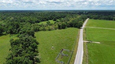 0 Brazoria County Rd unit 54196158, Angleton, TX 77515 - photo 4