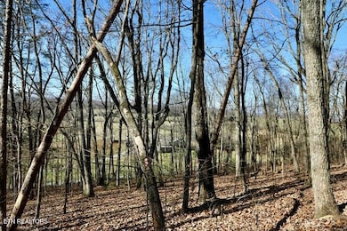 782 County Road 279, Niota, TN 37826 - photo 4