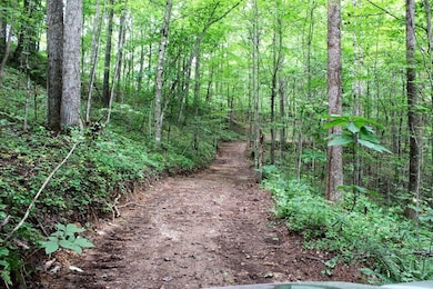 312 Laurel Fork, Ricetown, KY 41364 - photo 6