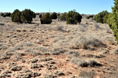 80 acres 003