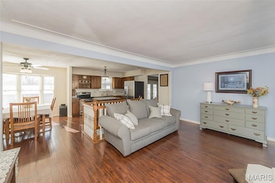 14 S Joyce Ellen Way, Saint Peters, MO 63376 - photo 4