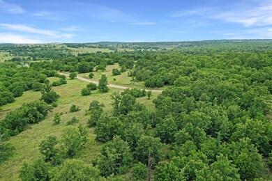 215 Acres unit East Truce Road, Bowie, TX 76230 - photo 3