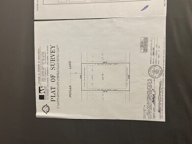 236 Poplar Ln, Beecher, IL 60401 - photo 4