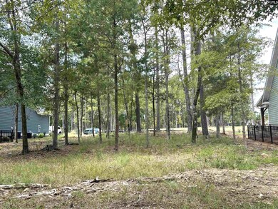 569 Misty Banks Dr, Chapin, SC 29036 - photo 6