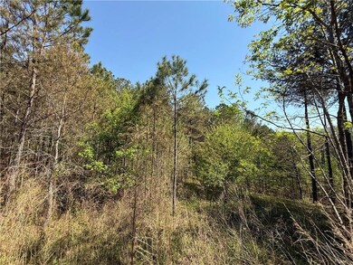 View of local wilderness with a wooded view