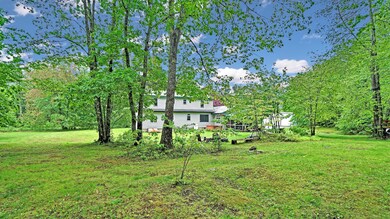 Back Yard View