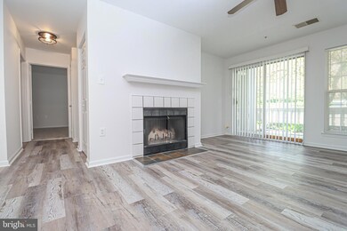 4409 Silverbrook Ln unit I101, Owings Mills, MD 21117 - photo 2