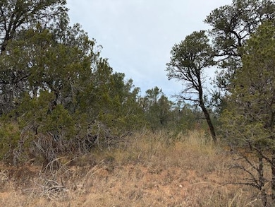 0 Palomino Dr unit 11, Timberon, NM 88350 - photo 3